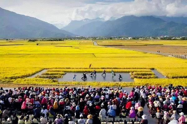 他们在稻田上跳舞，看完大家都哭了，这才是中国最好的舞蹈