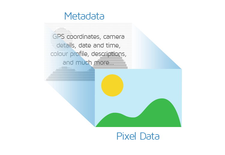 image optimization metadata 2