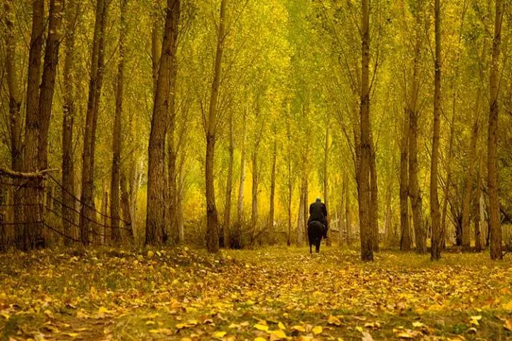 中国哪里的秋天最美？——长沙seo霜天博客
