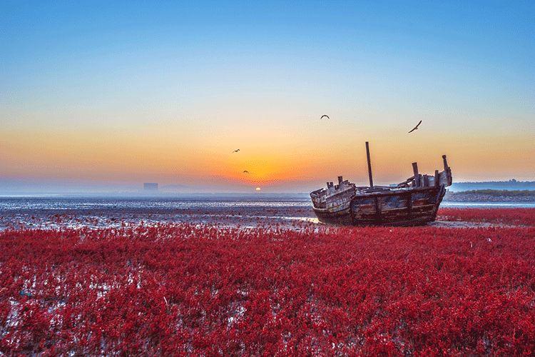你知道中国有片红色的海吗？美到窒息！
