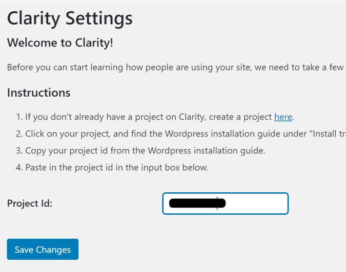 在WordPress中设置Microsoft Clarity